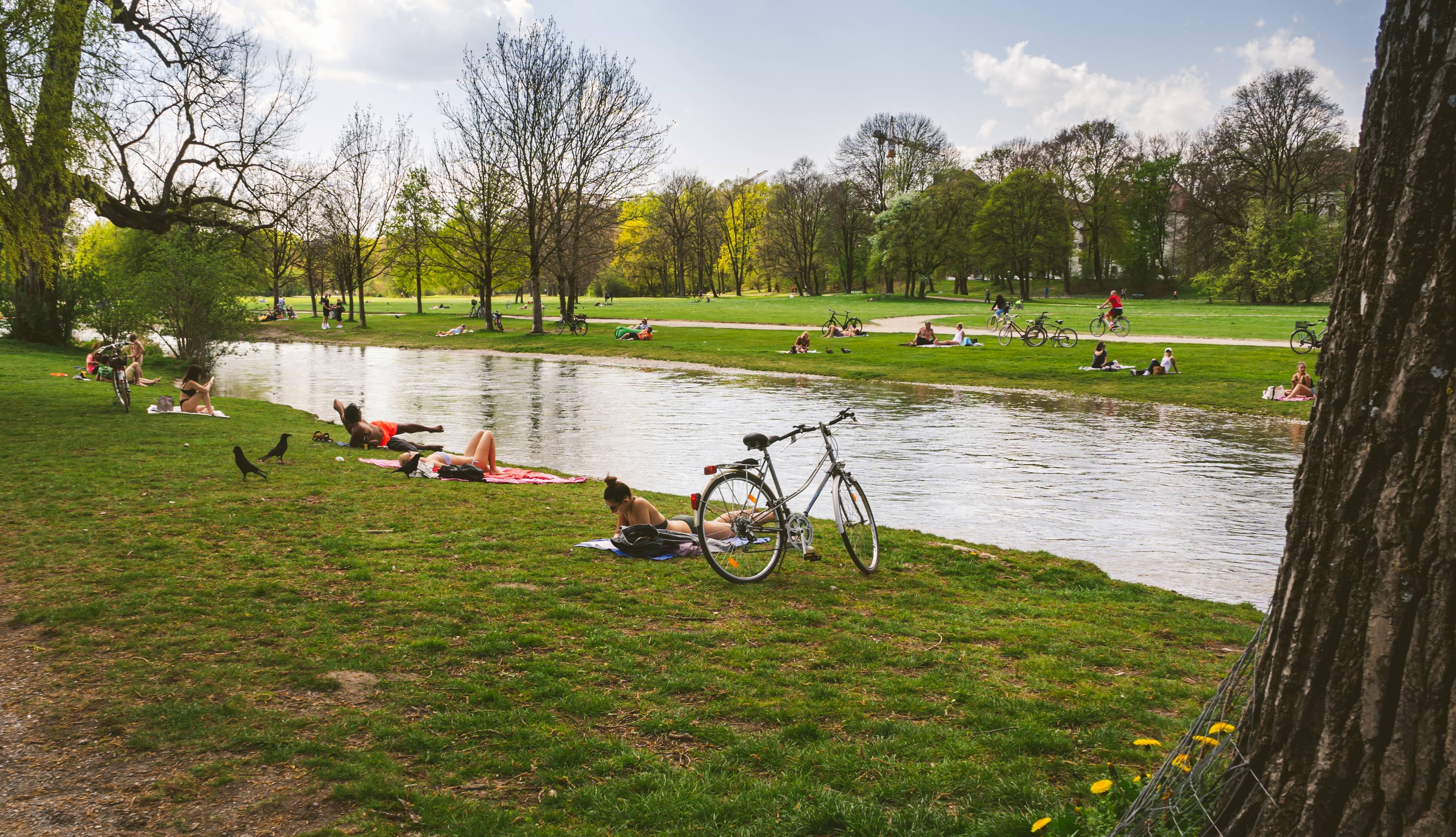 people relaxing near stream in park