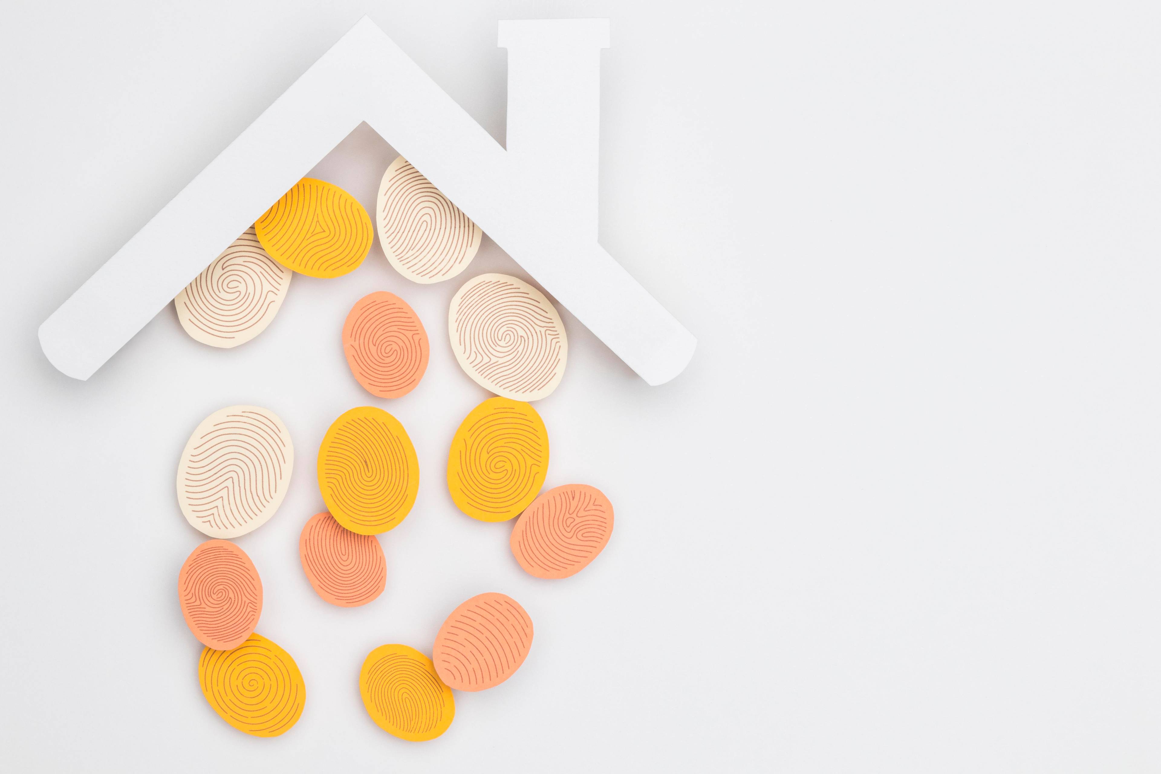 Model house roof with fingerprint disks under it