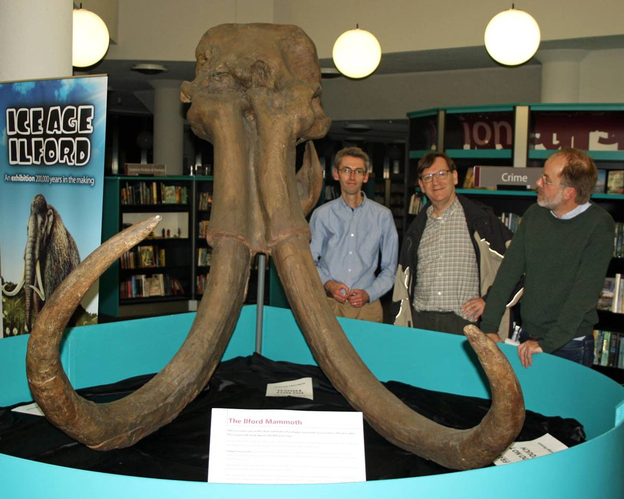 Mammoth bones as displayed at the Natural History Museum, London (2015)