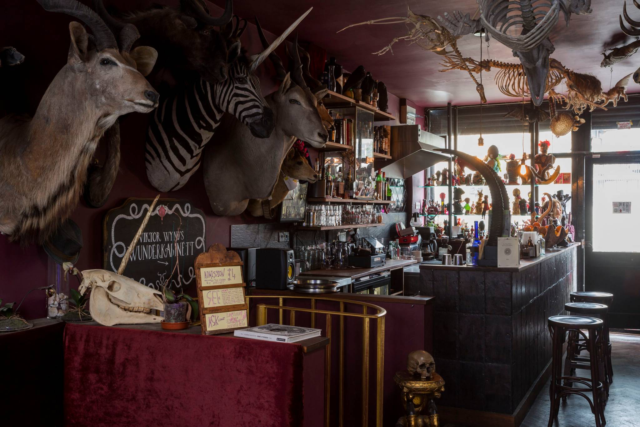 The Viktor Wynd Museum of Curiosities, Fine Art & UnNatural History