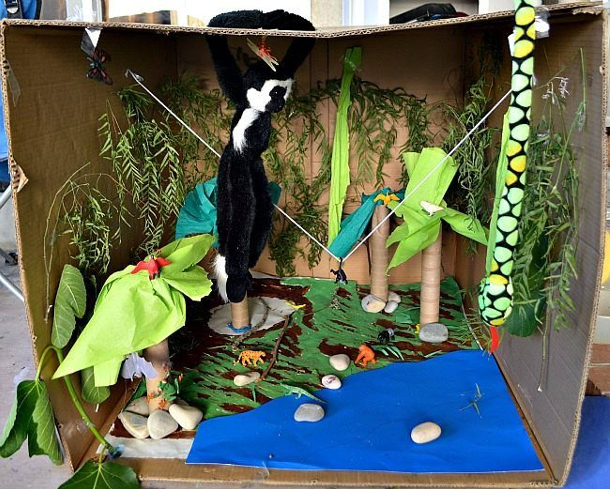 Jungle habitat inside cardboard box