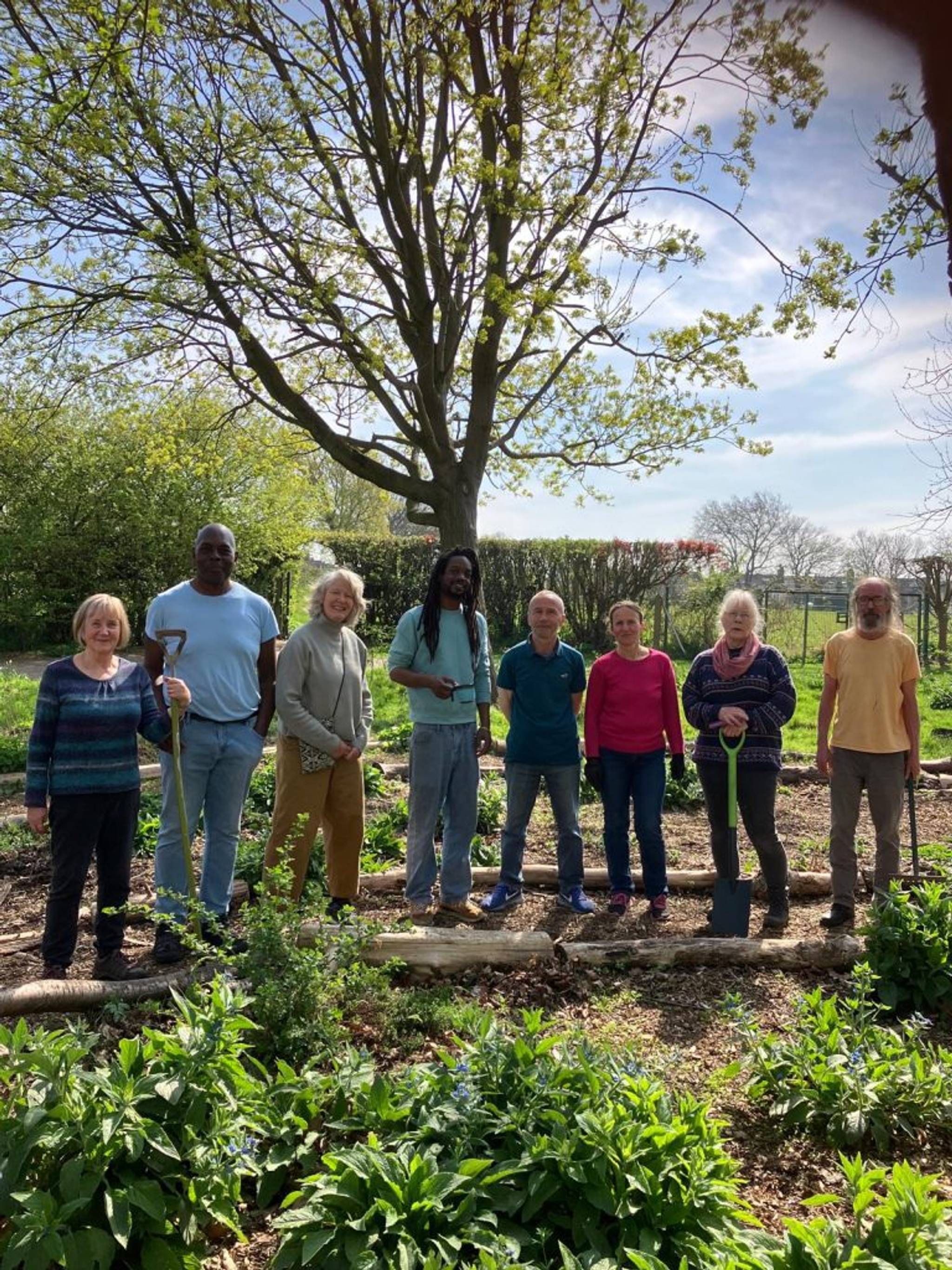 transition town ilford community event