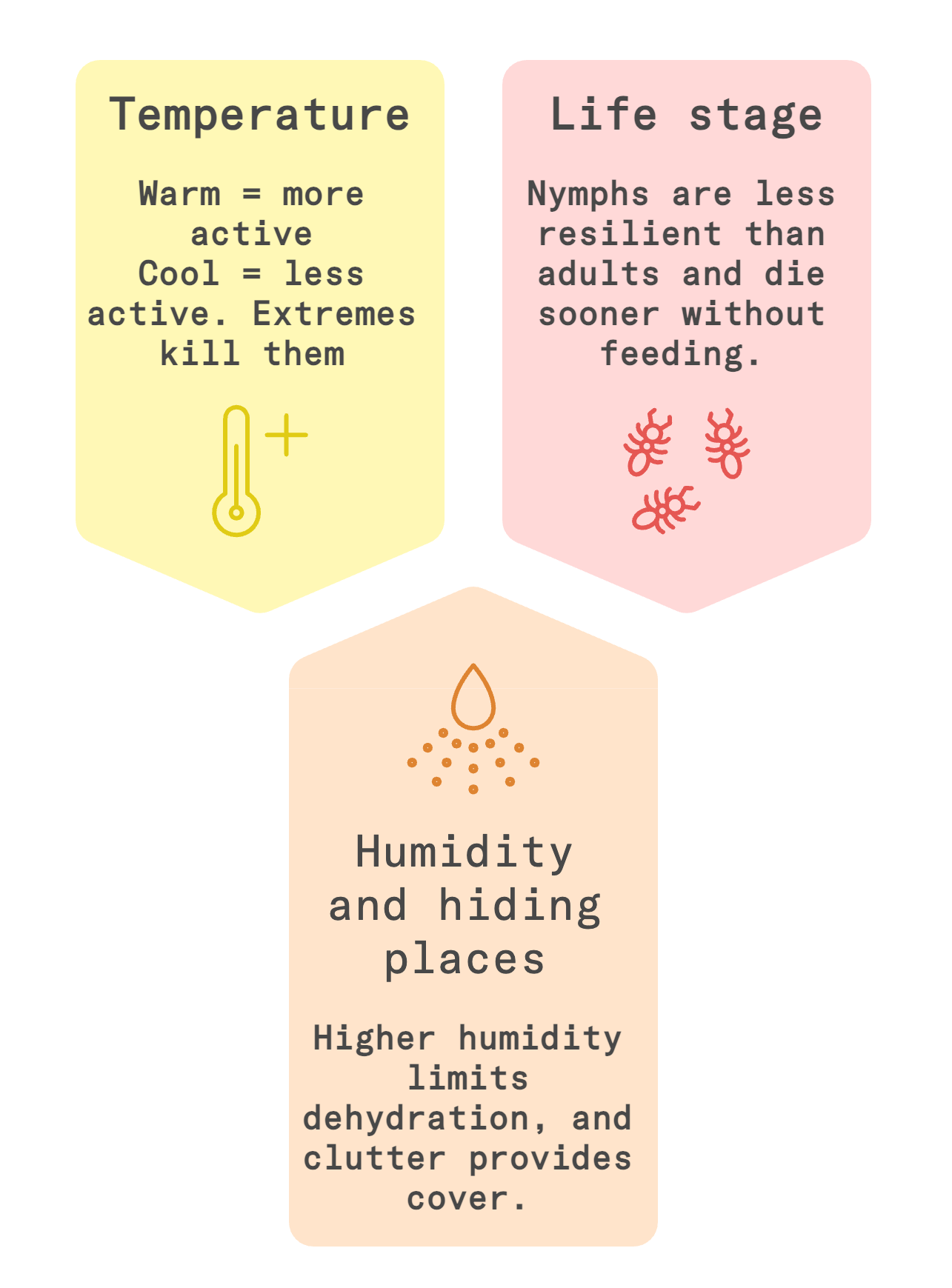 bed bugs survival infographic