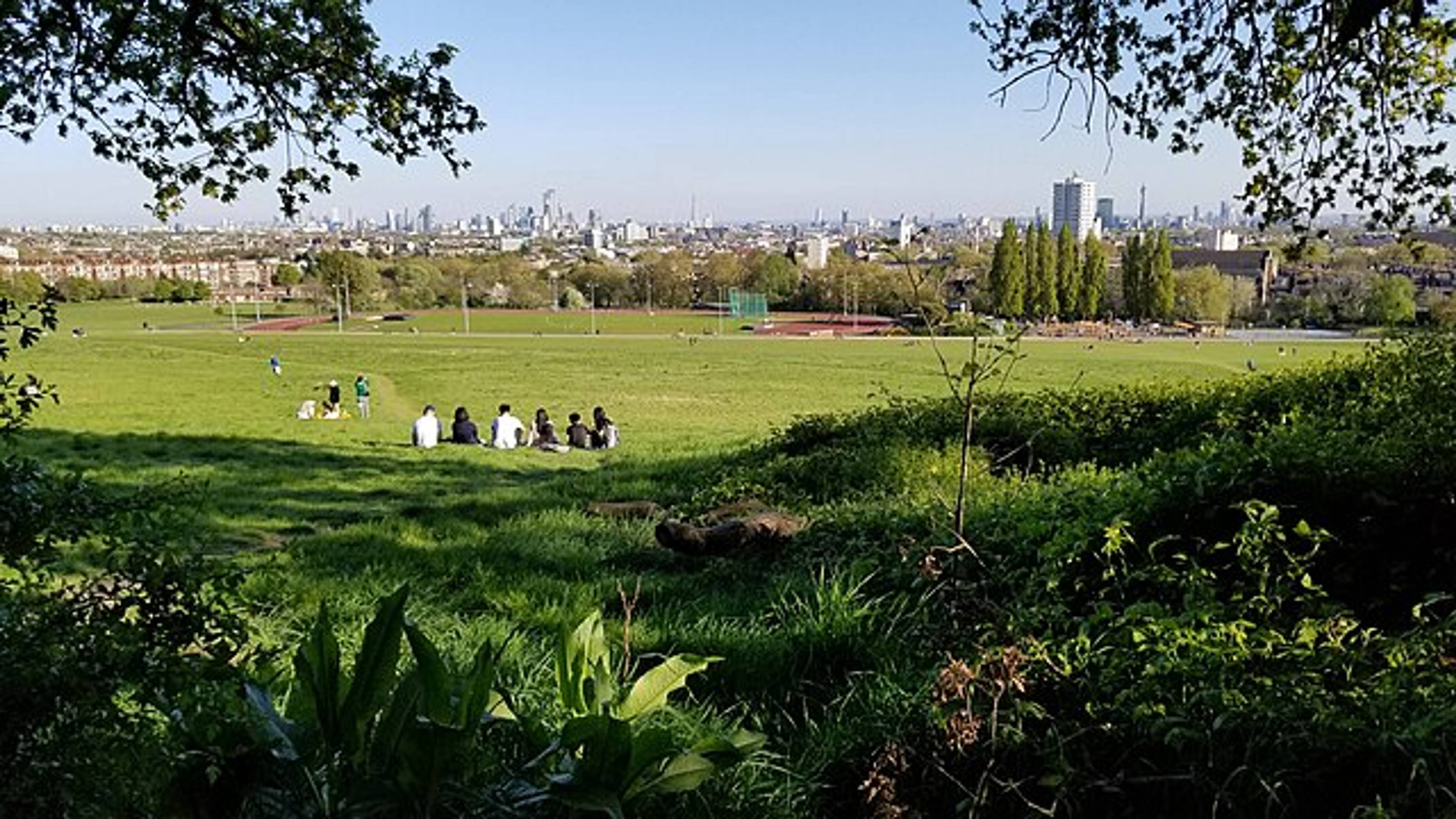 Parliament Hills Field