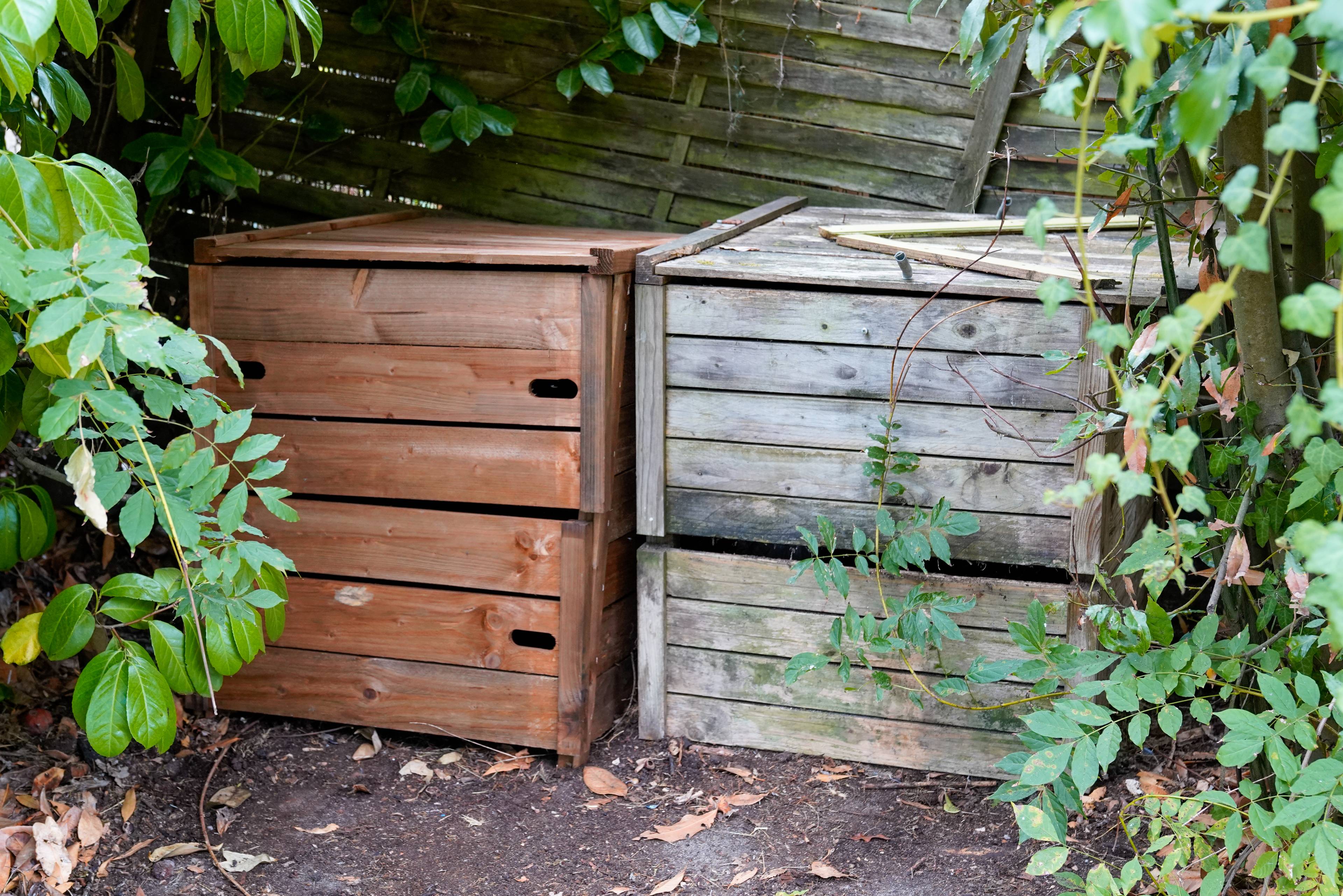 Two wooden compost bin in family garden home