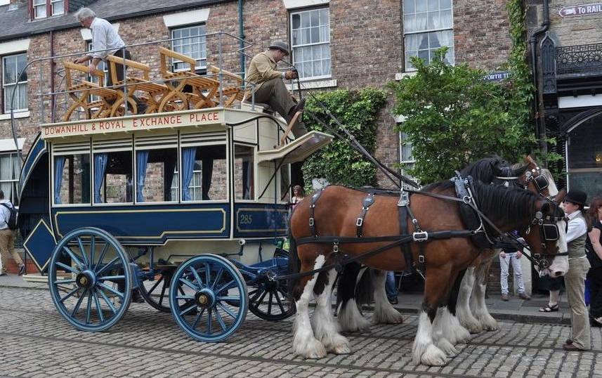 horse bus