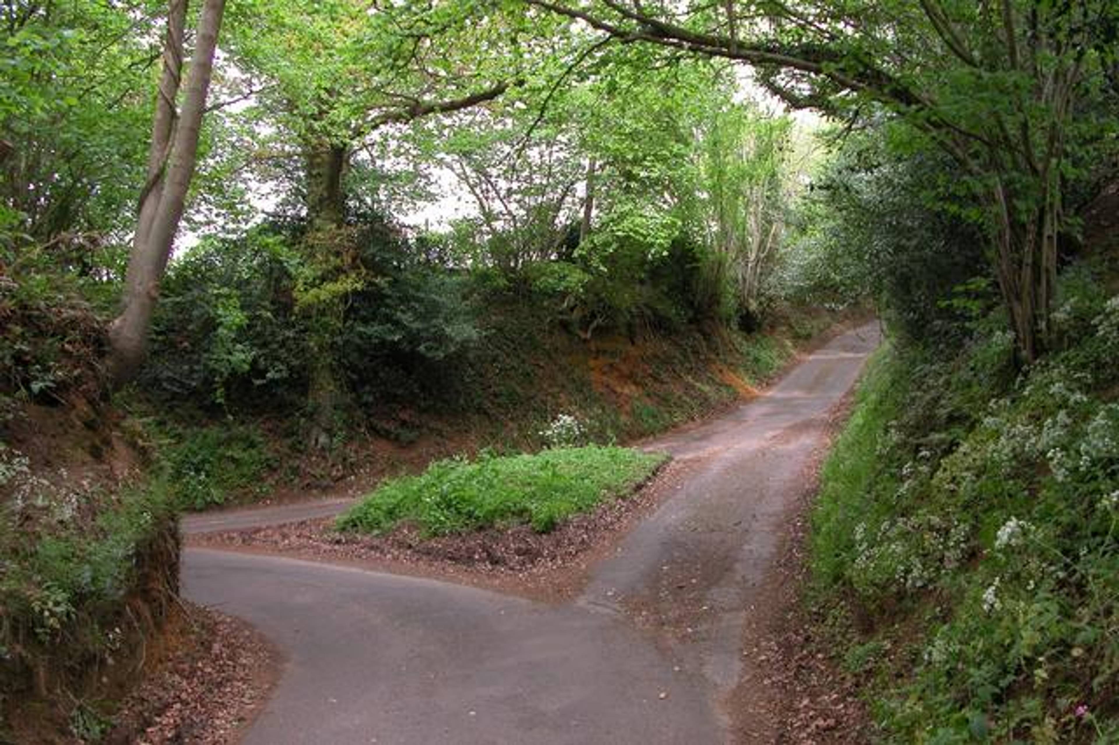 sunken lane
