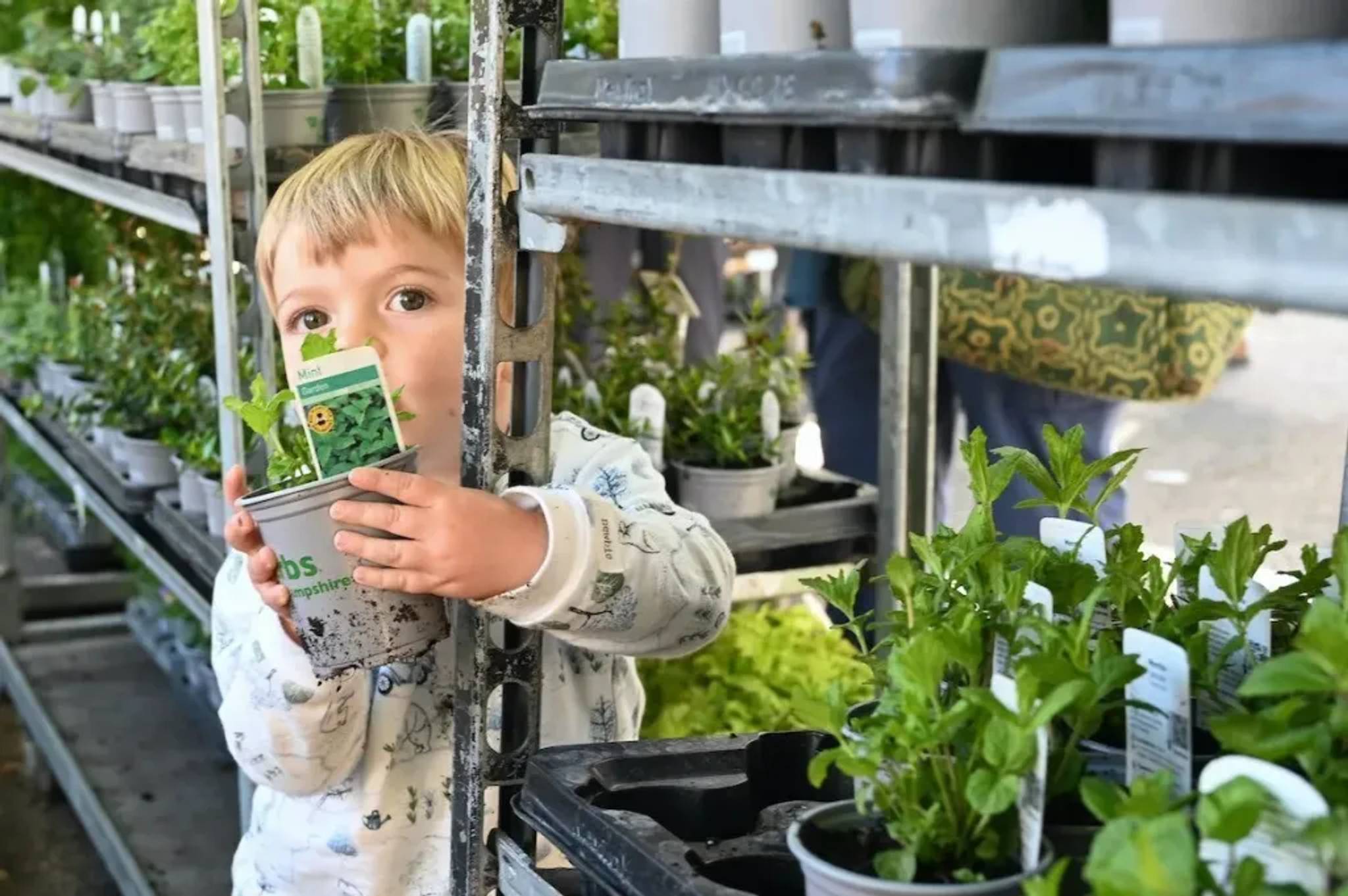 boy holder a plant pot arm wrapped around plant shelves