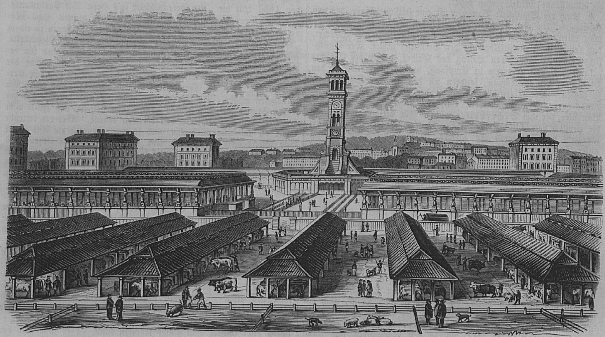 old drawing of cattle market