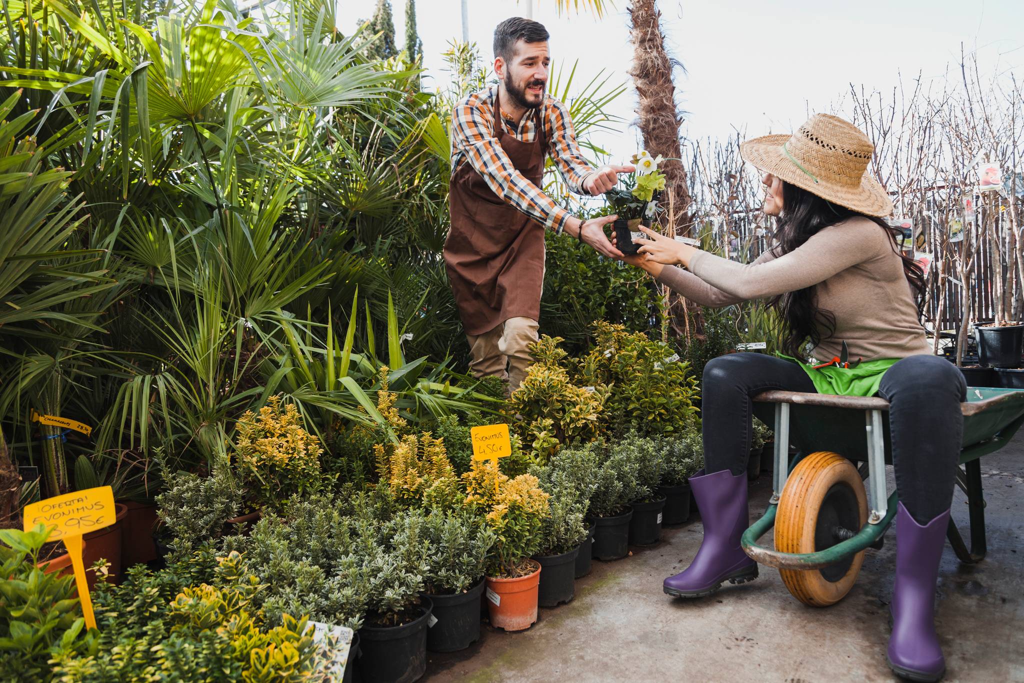 People with wheelbarrow working in a garden