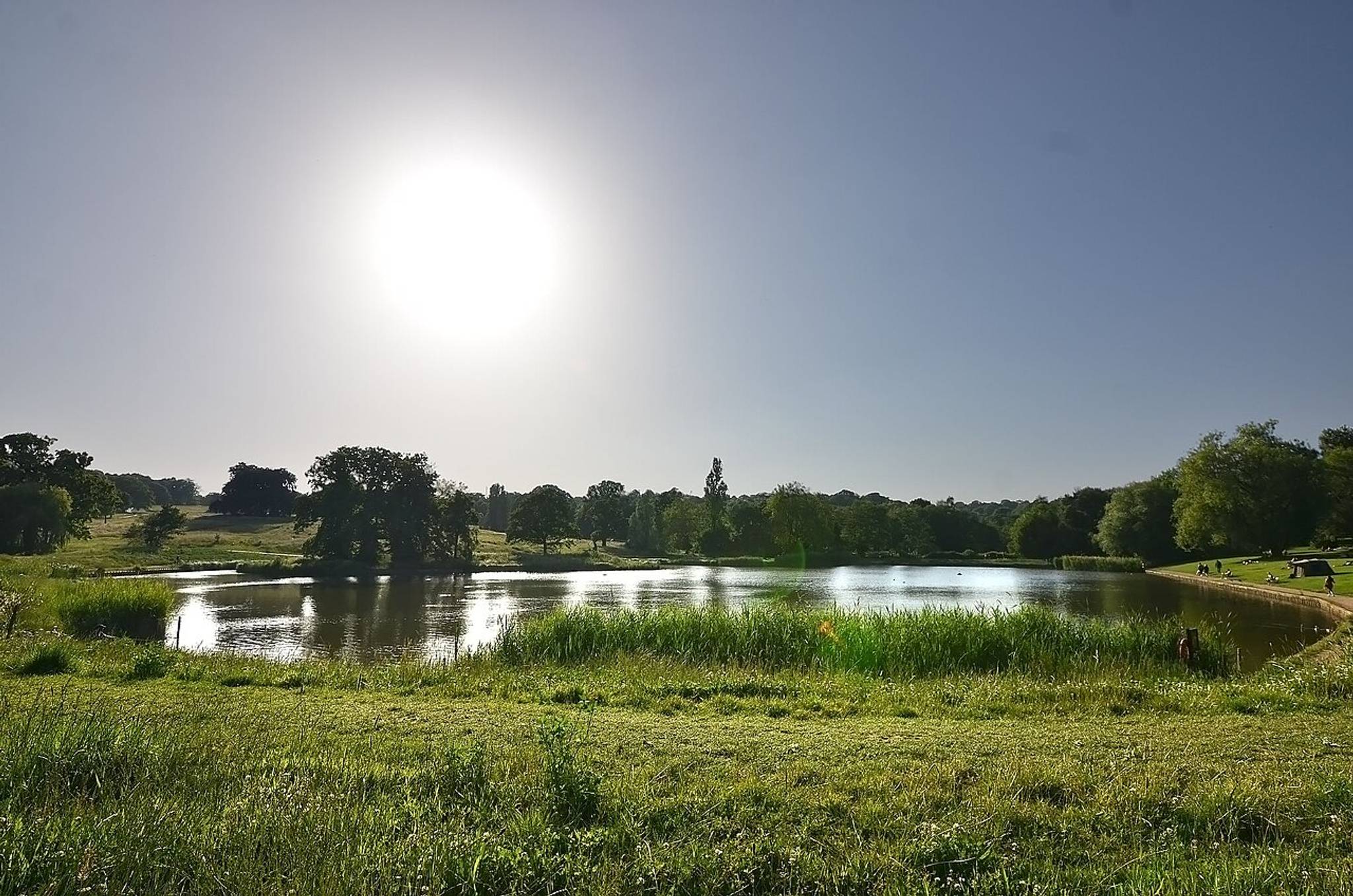 Hampstead Heath