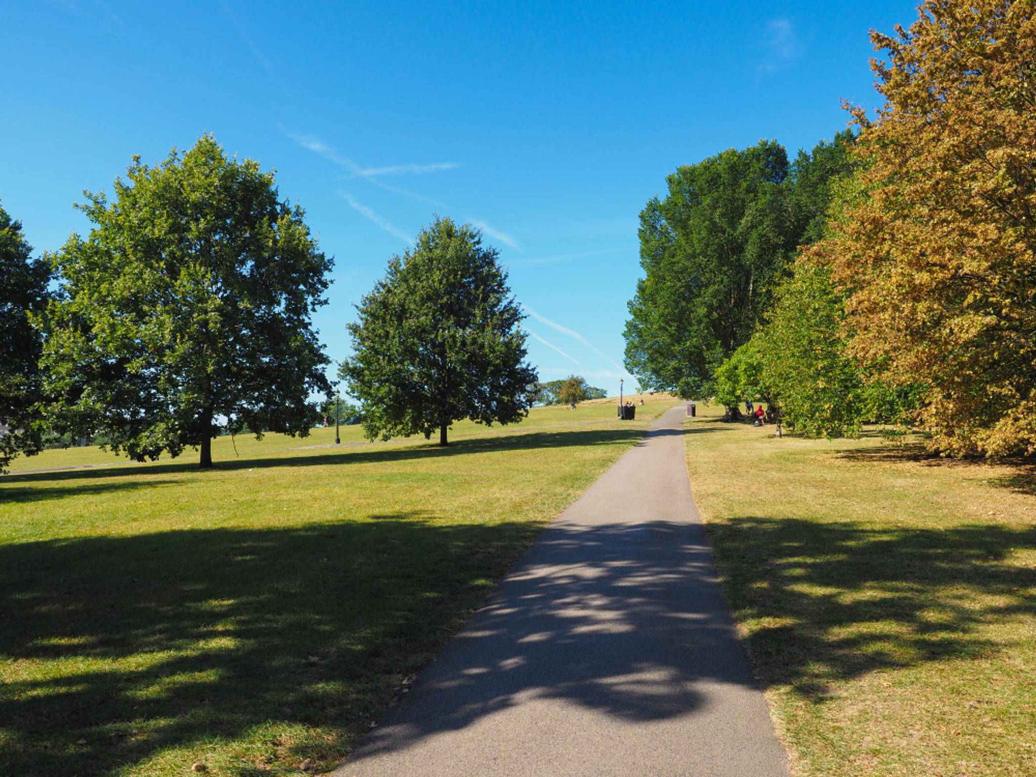 primrose hill walk pathway trees