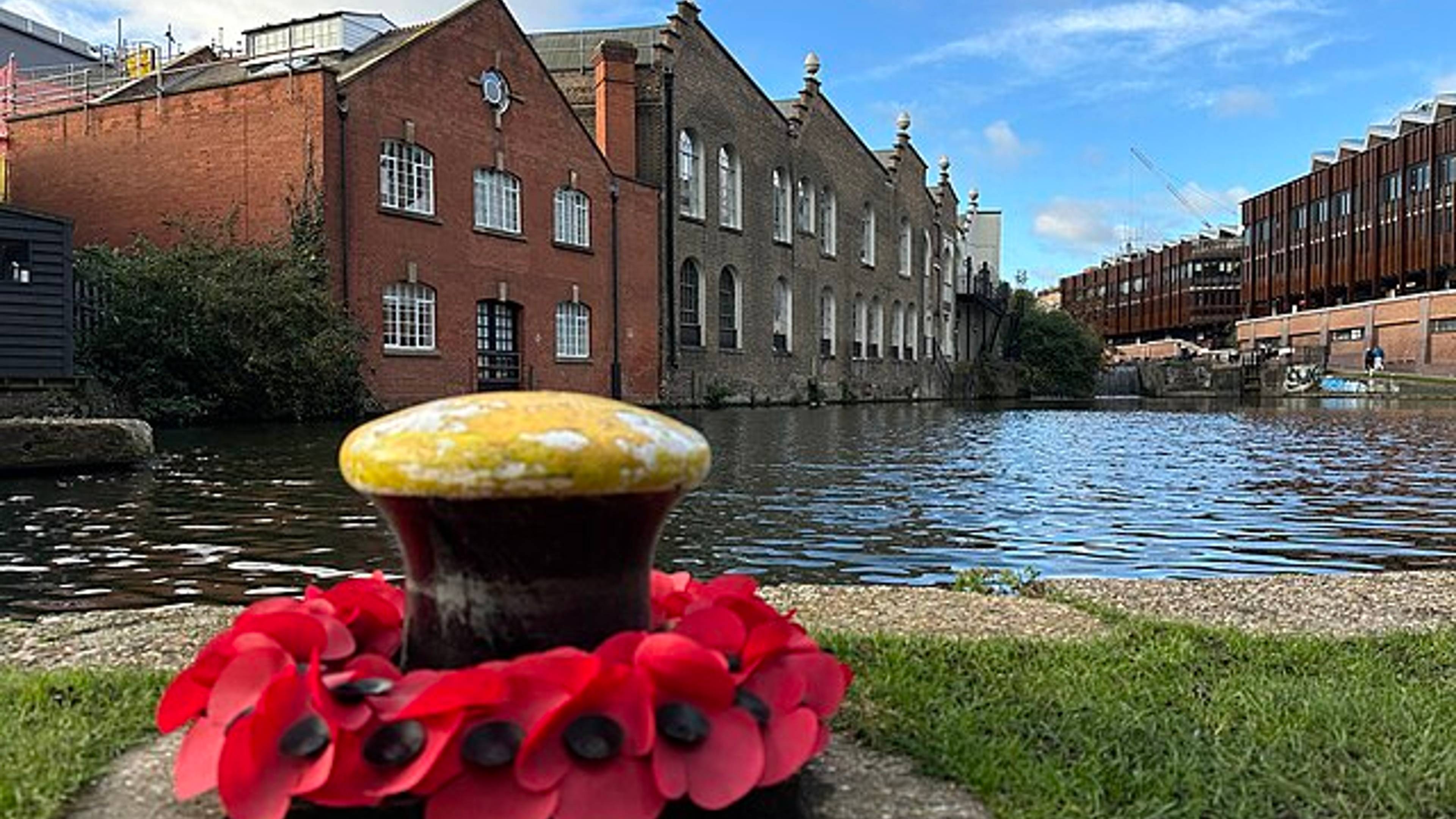 Poppies around the canal