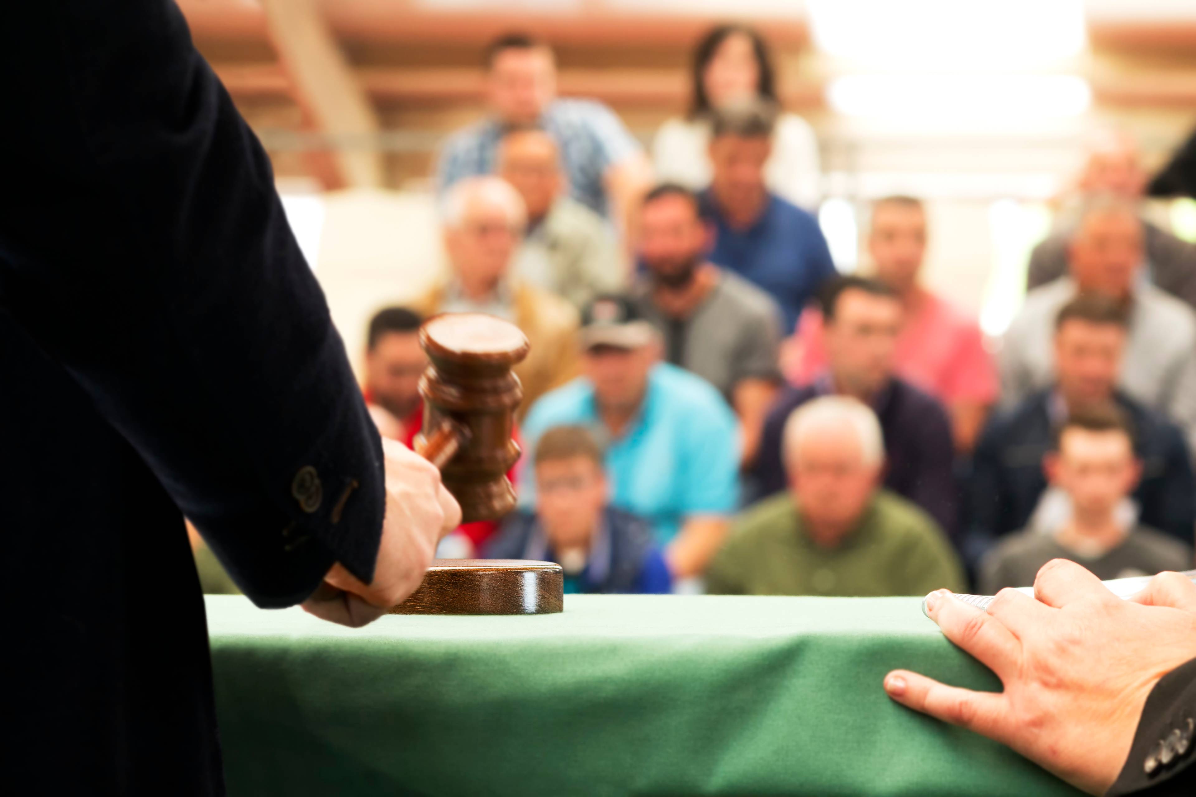 Close-up of judge with people in courtroom