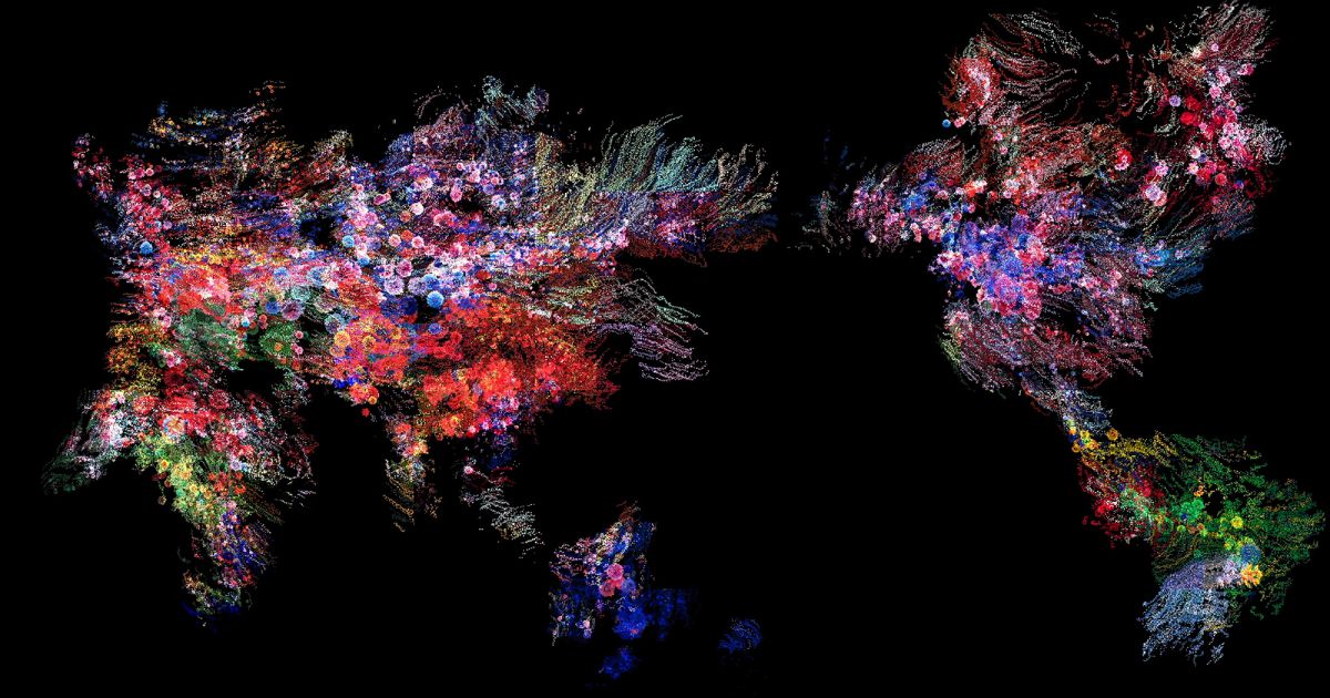 flower world H E N R Y C H U