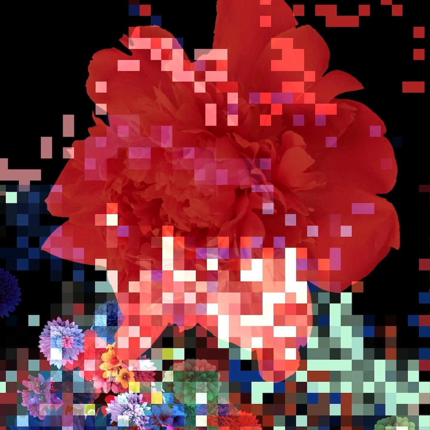 flower world | H E N R Y C H U