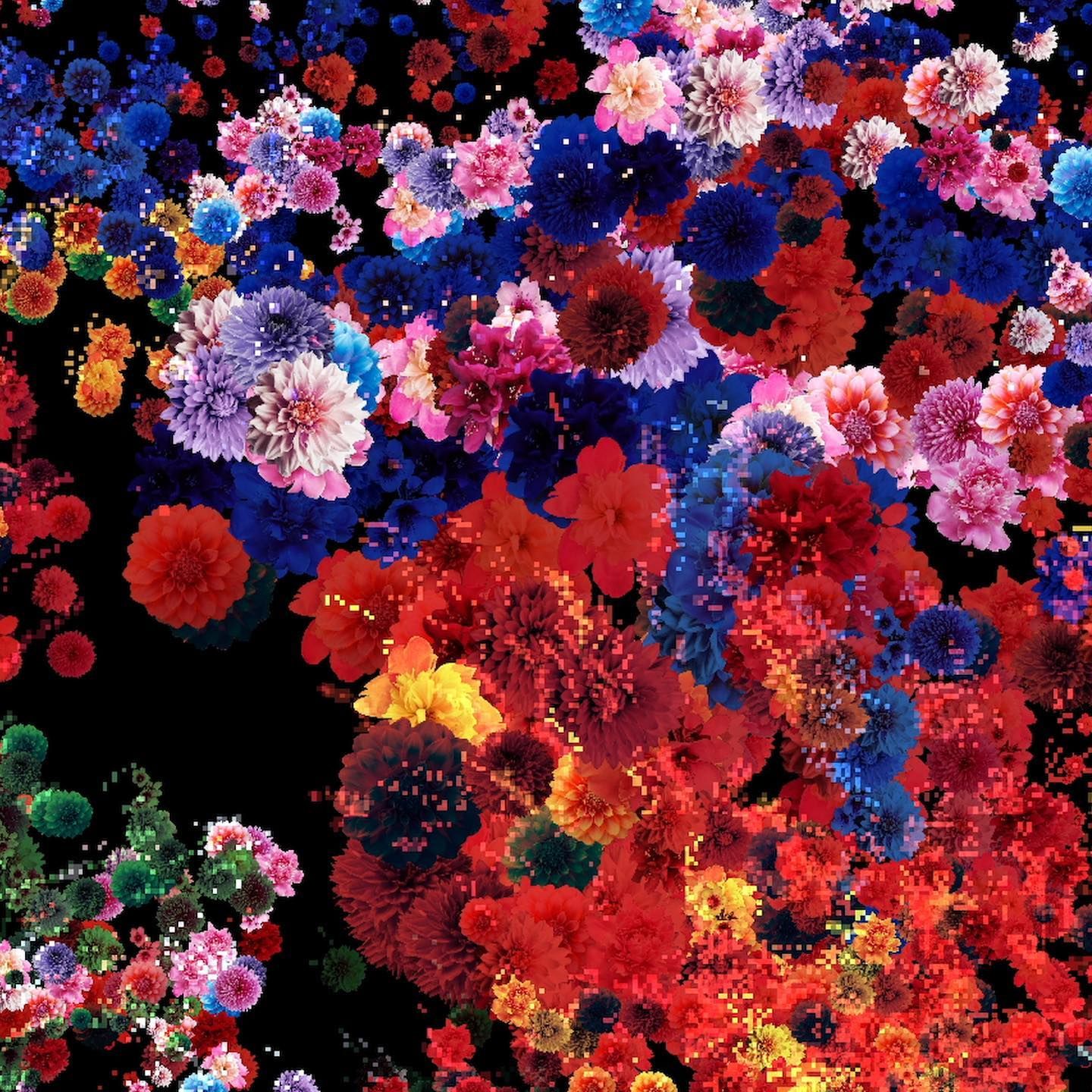 flower world | H E N R Y C H U