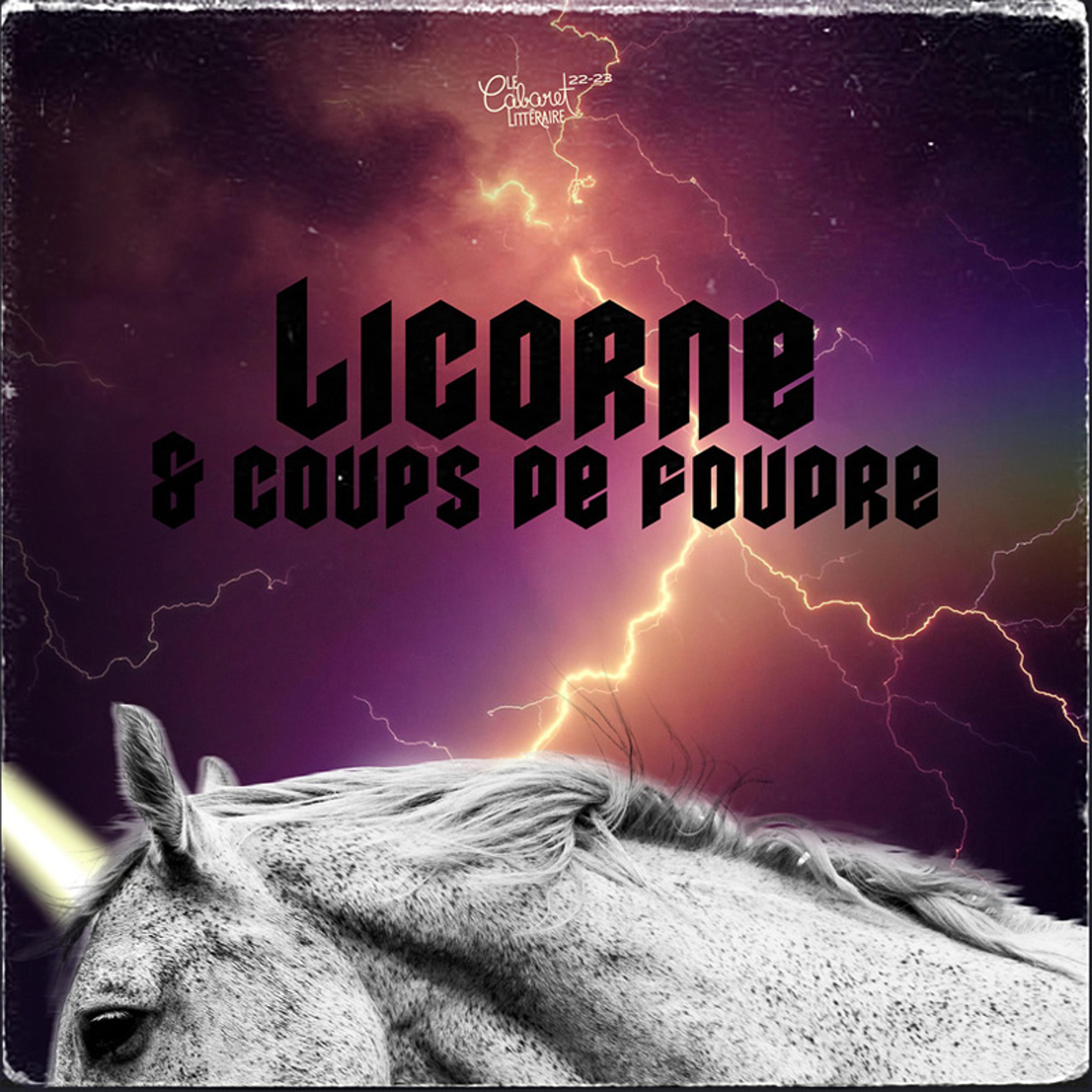 Visual for the show Licorne et coups de foudre (Unicorn and Thunderstrikes), depicting a unicorn against a sky blending thunderstorms and rainbows.