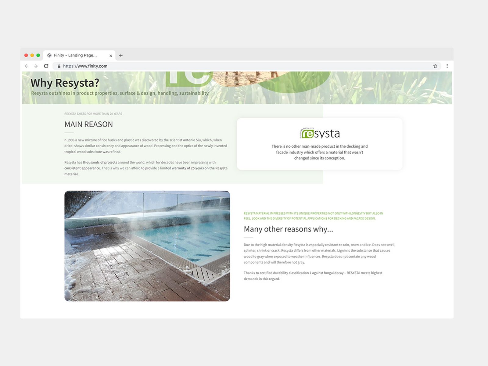 Tree-Pal gallery image 4