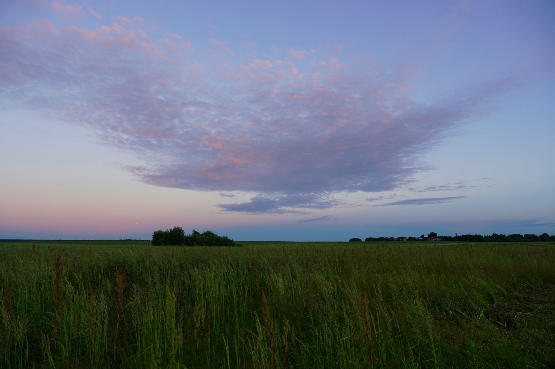A field with a purple sunset sky.