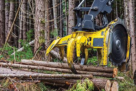 FR27 felling head 