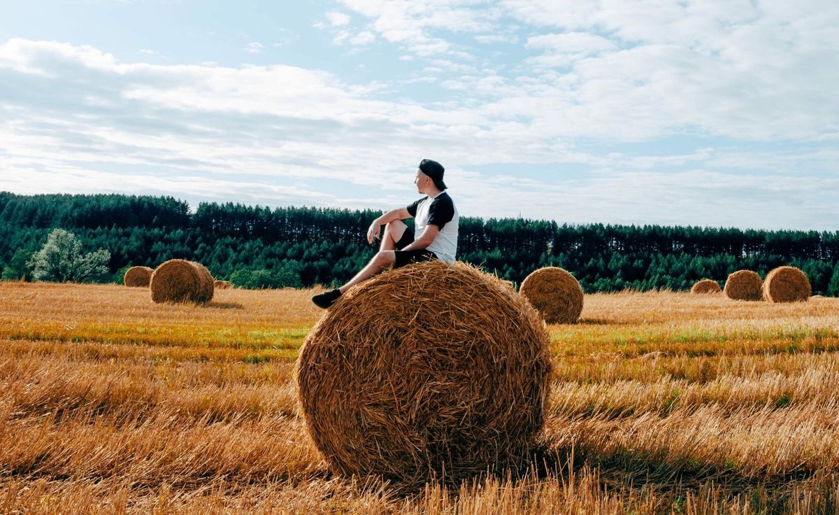 Hay bale