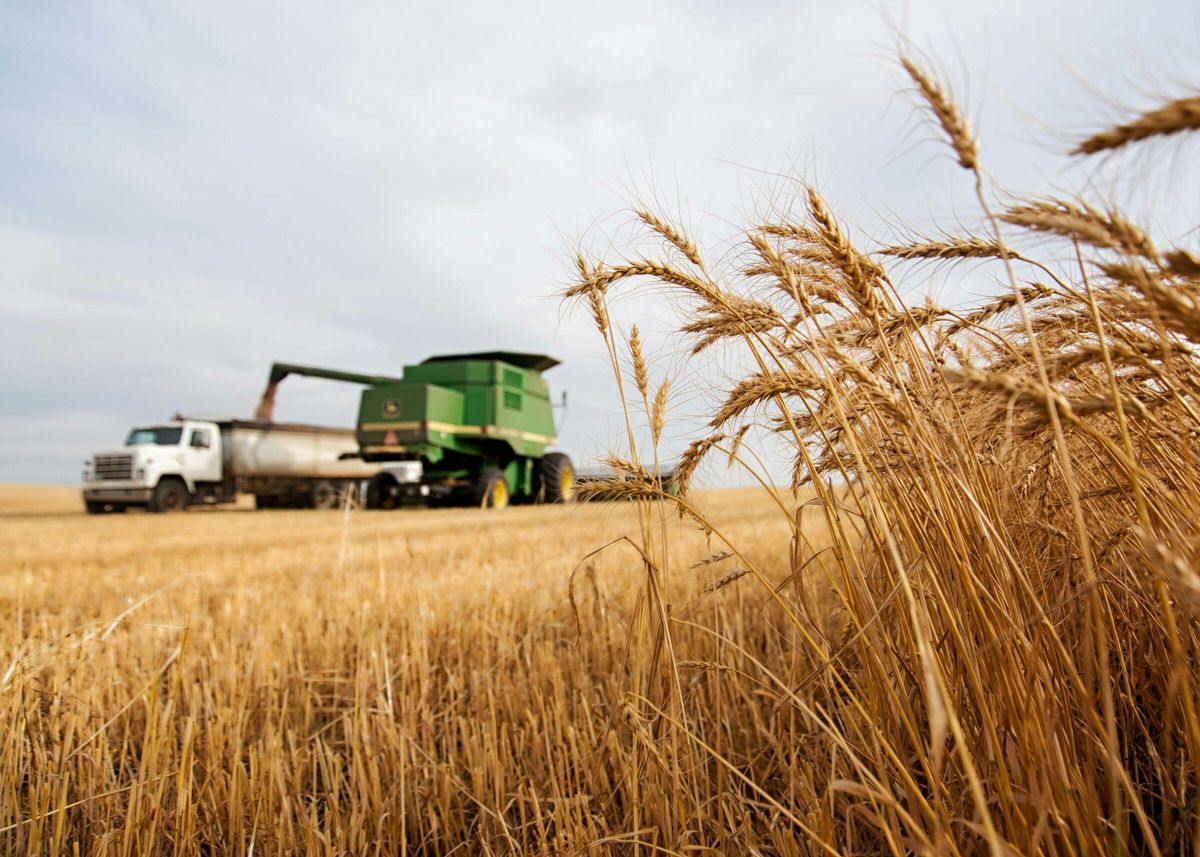 Investing in commodities