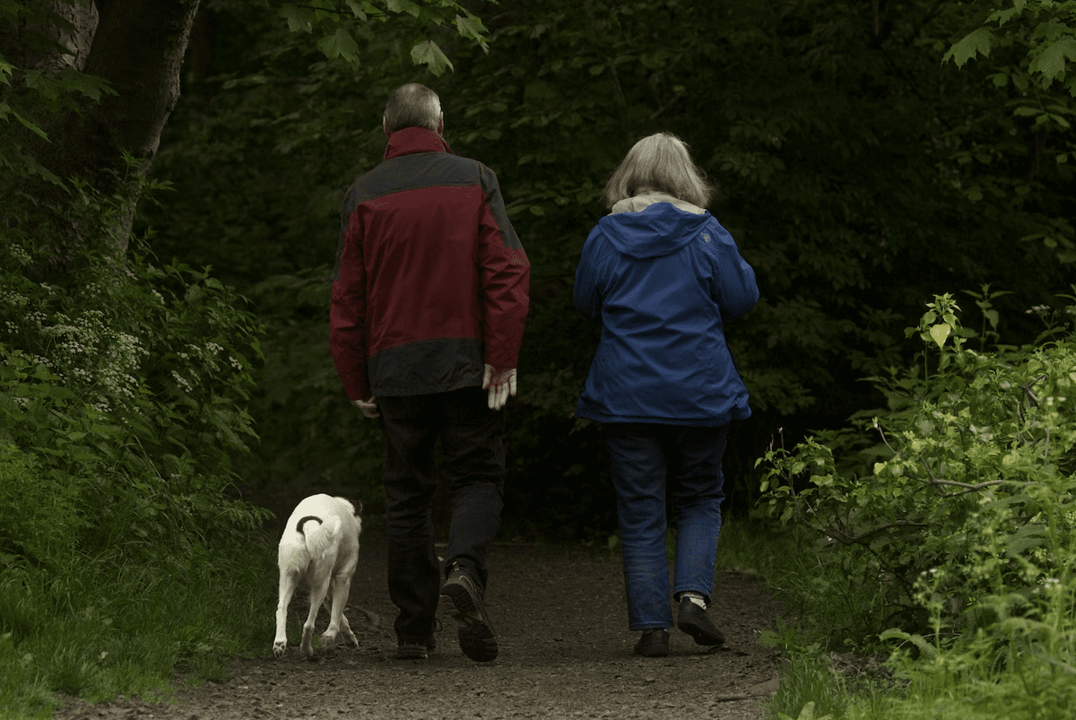 Annuity or ARF pic