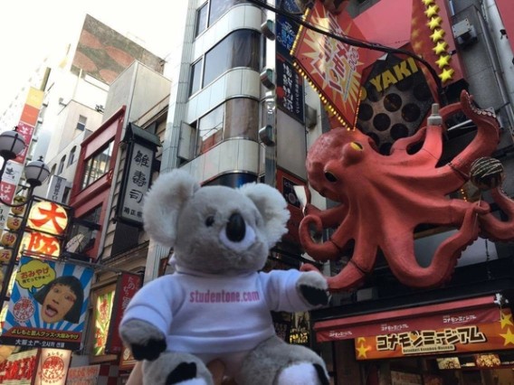 Cosmos the Koala toy in Japan