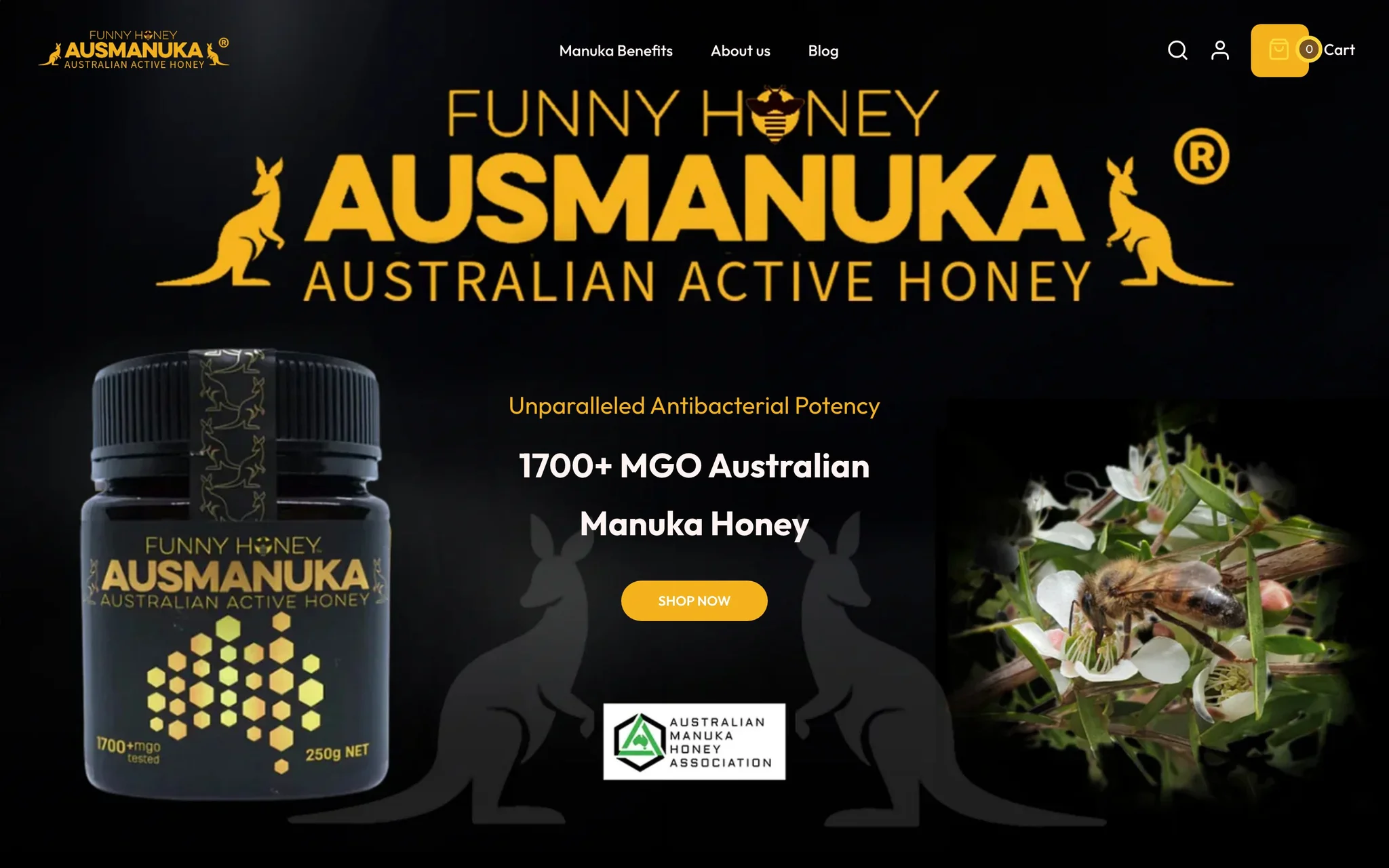 Ausmanuka homepage hero with the black and gold logo, a 1700+ MGO Manuka honey jar and a Shop Now button.