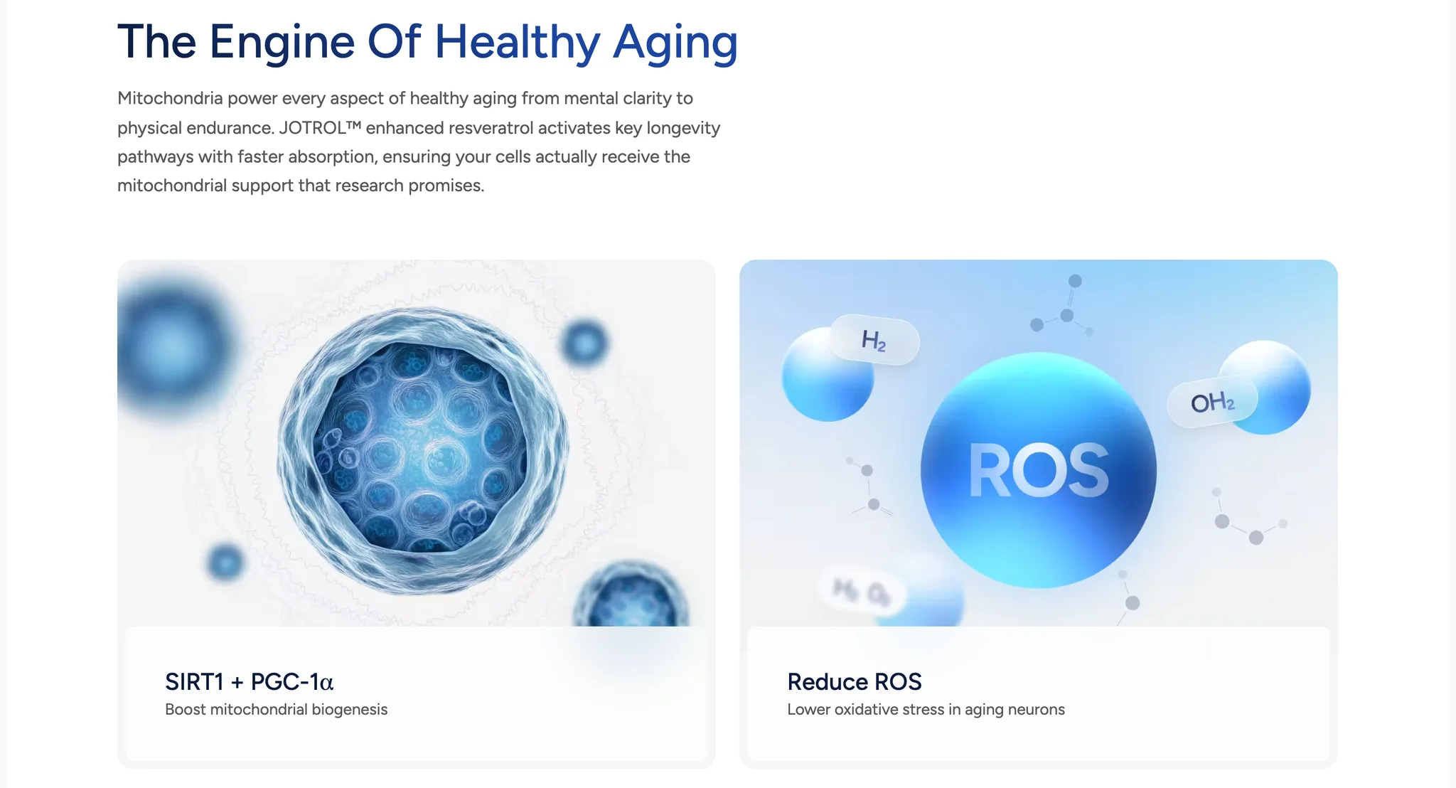 "The Engine Of Healthy Aging" section with an intro paragraph above two image cards: a blue cell render titled SIRT1 + PGC-1α and a glossy blue sphere marked ROS