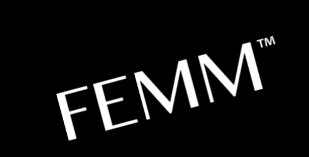 FEMM