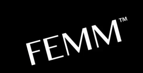 FEMM