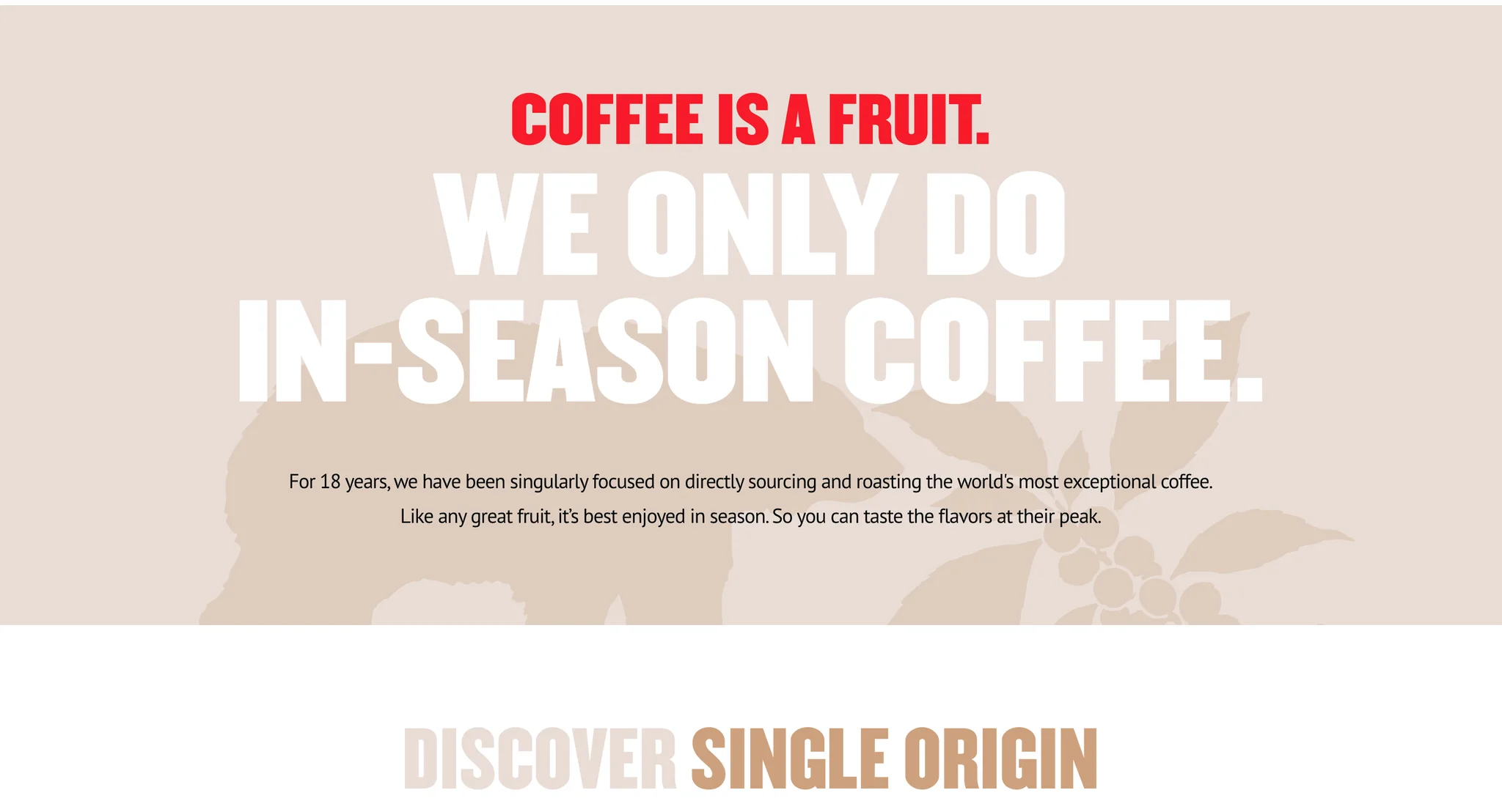 Sand section headed "Coffee is a fruit. We only do in-season coffee." in red and white display type over a faint bear and coffee branch illustration, with the "Discover Single Origin" heading below