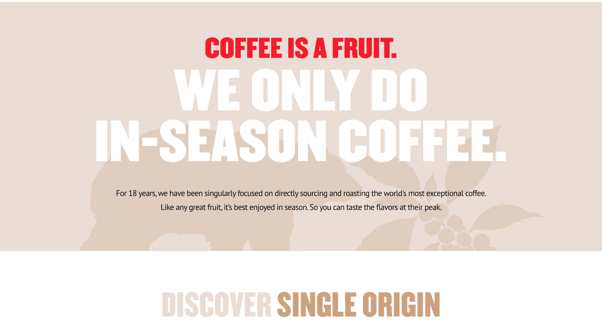 Sand section headed "Coffee is a fruit. We only do in-season coffee." in red and white display type over a faint bear and coffee branch illustration, with the "Discover Single Origin" heading below