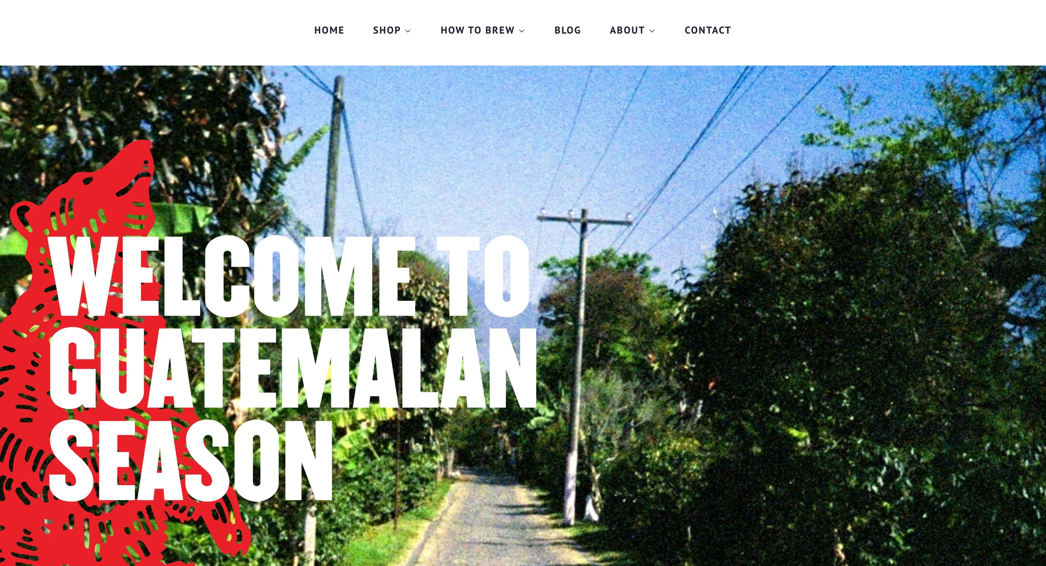 Kuma Coffee homepage hero: "Welcome to Guatemalan Season" in white display type over a grainy film photo of a country road lined with trees and power lines, with a red standing bear illustration on the left and the Home, Shop, How to Brew, Blog, About and Contact menu above