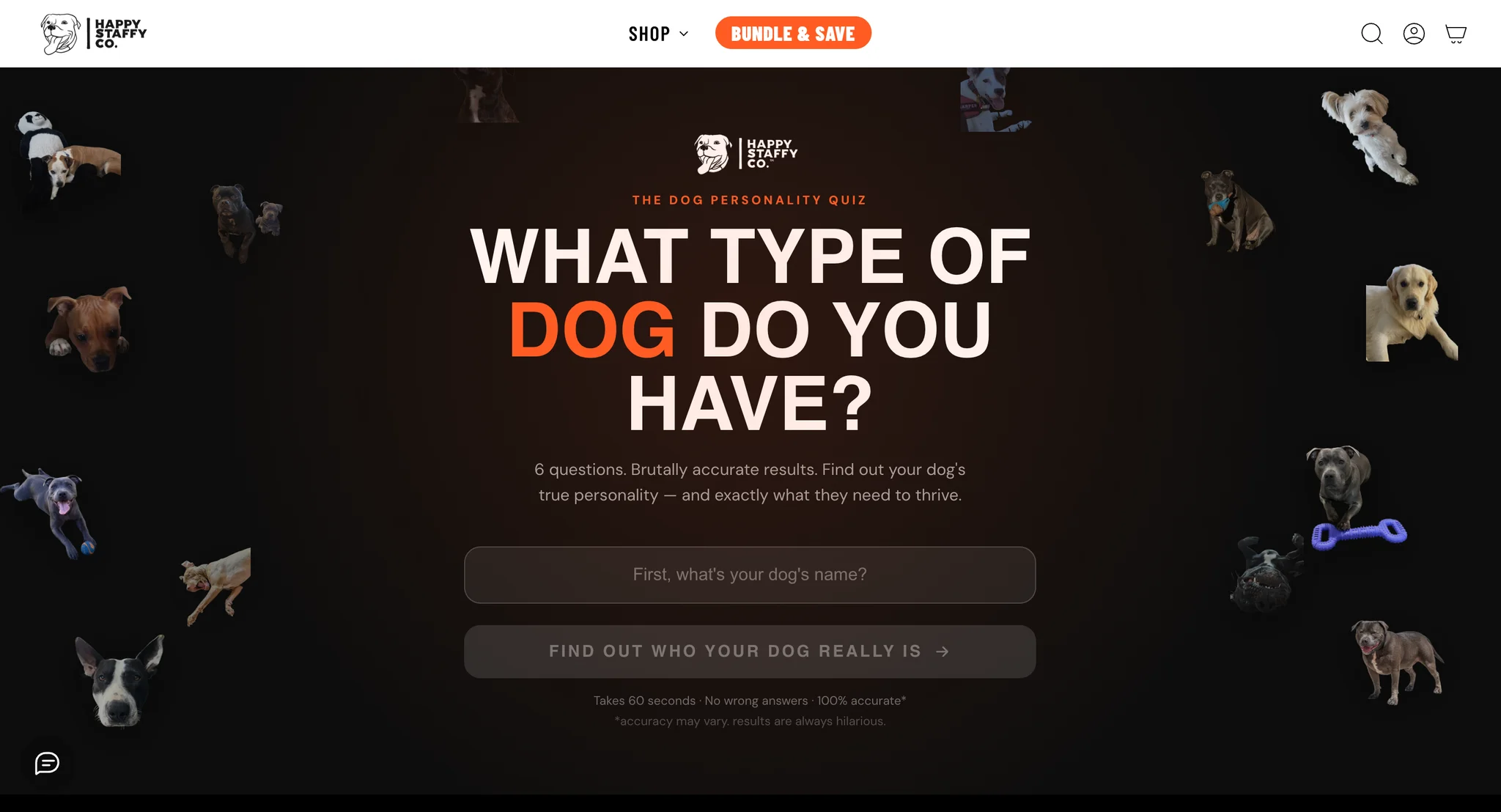 Dog personality quiz start screen asking "What type of dog do you have?" with a name field, on a dark background with dog illustrations
