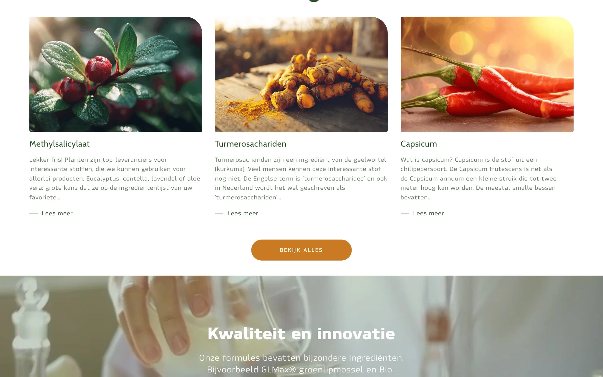 Synofit ingredient library cards for methyl salicylate, turmerosaccharides and capsicum with photos and short descriptions.
