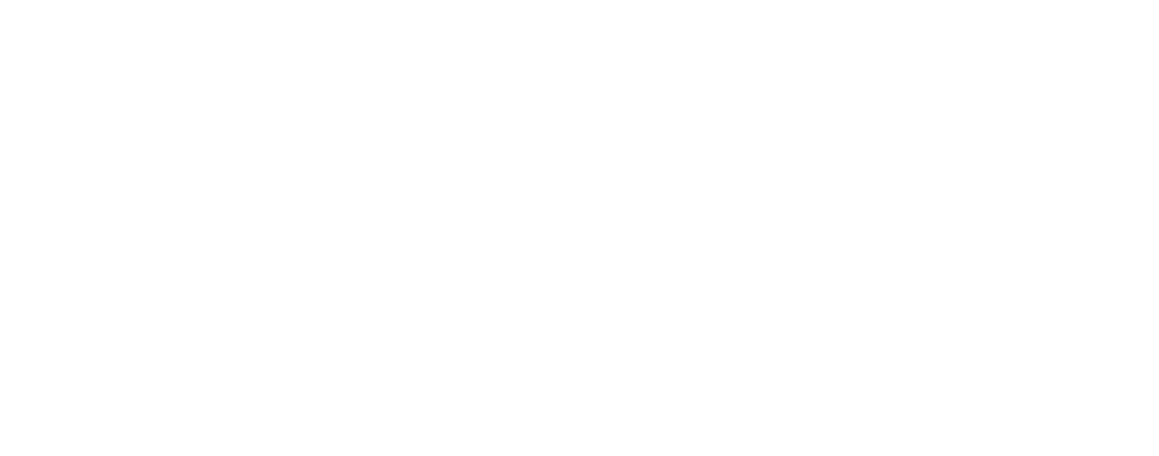 The Web Agency logo