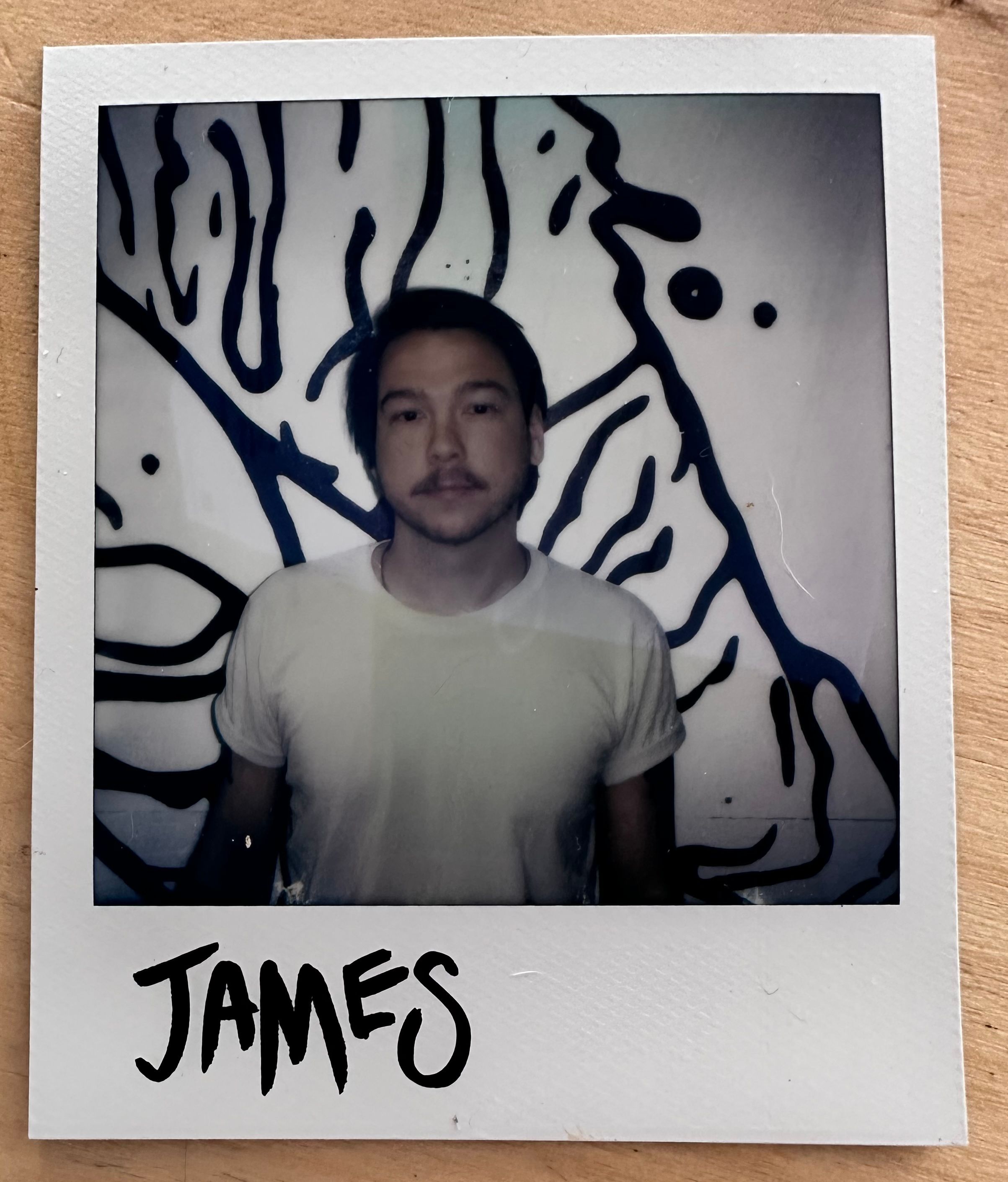 portrait of James
