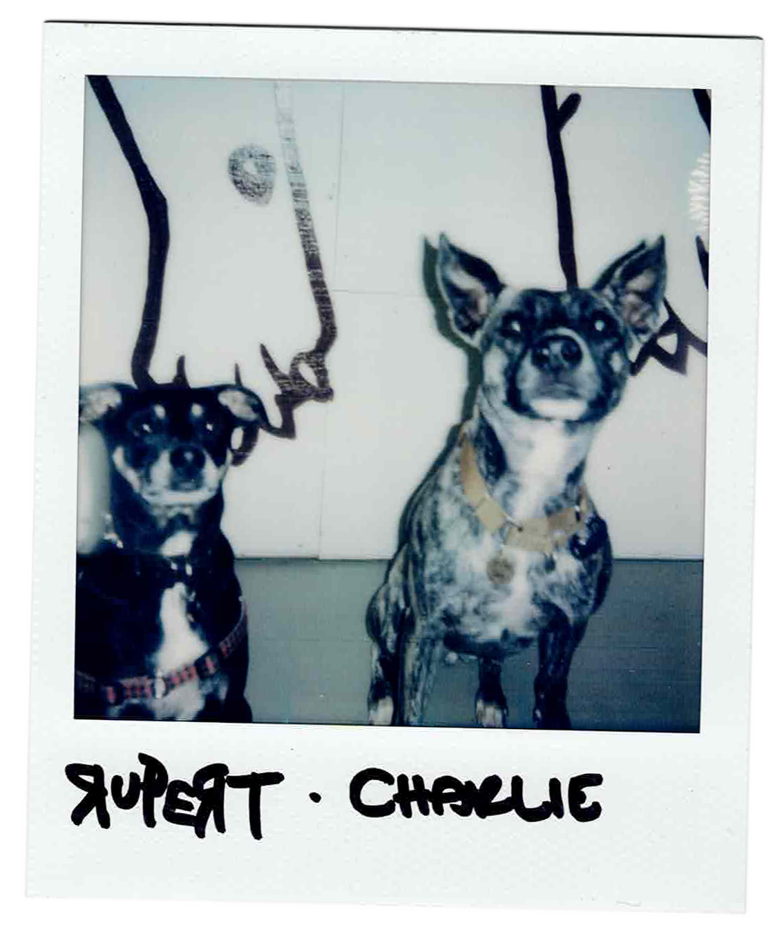 portrait of Rupert & Charlie