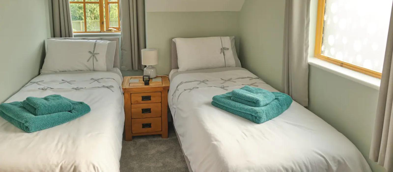 generic image of wagtails