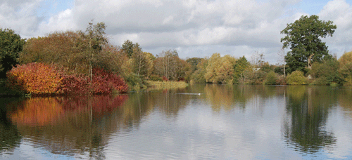 Moors Valley Park imagery