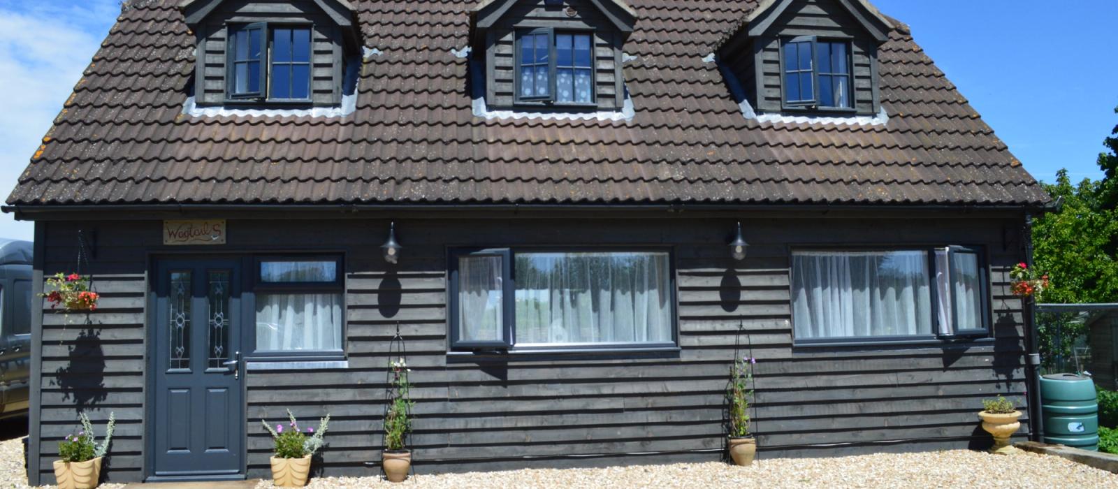 generic image of wagtails