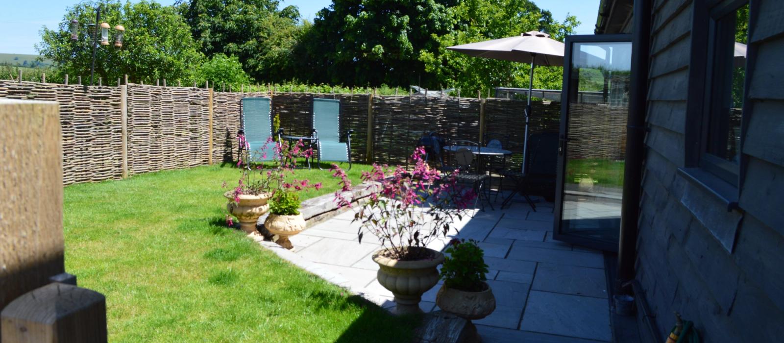 generic image of wagtails