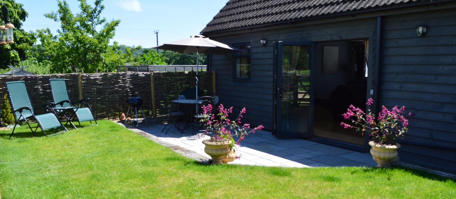 generic image of wagtails