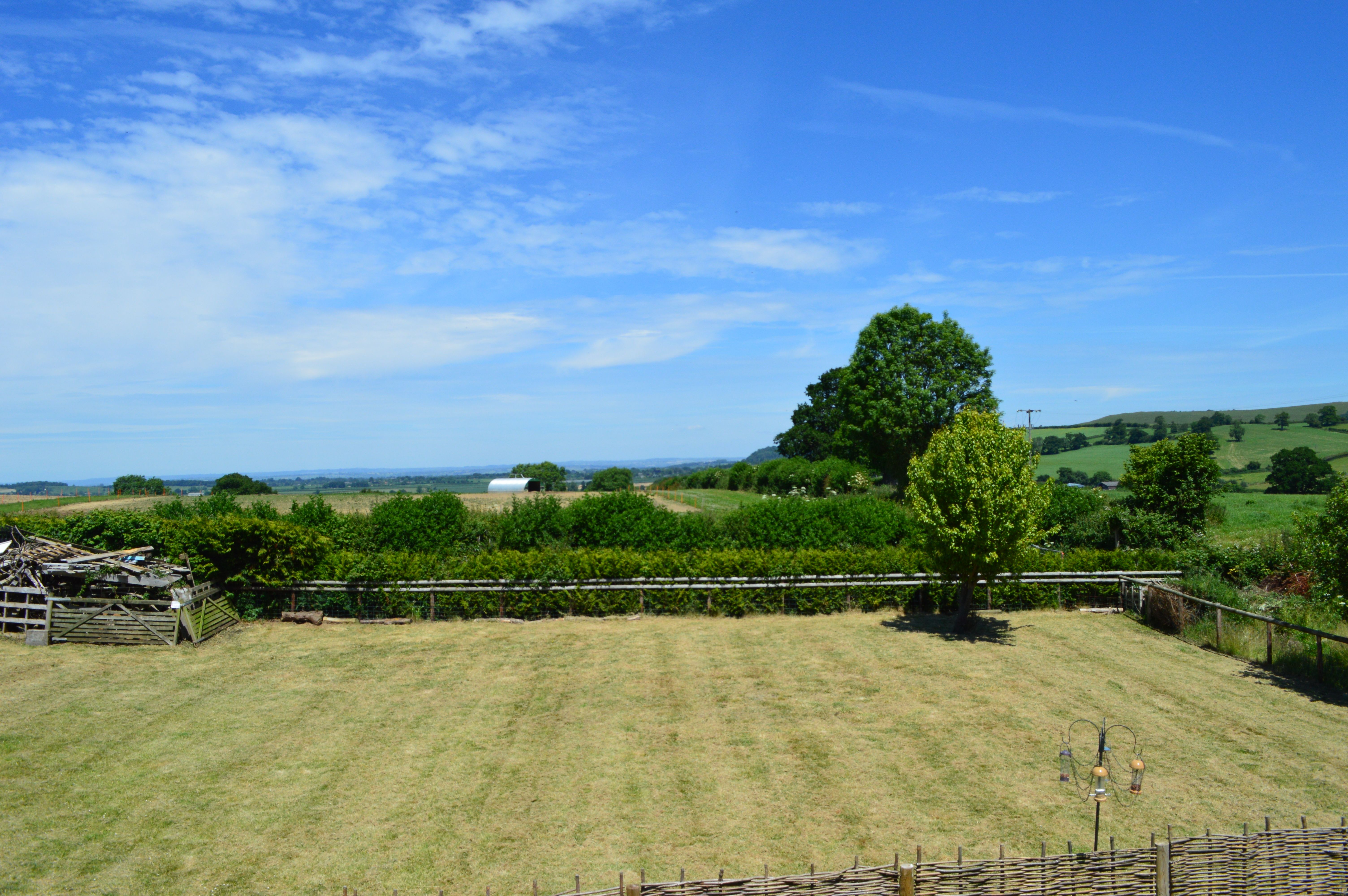 generic image of wagtails