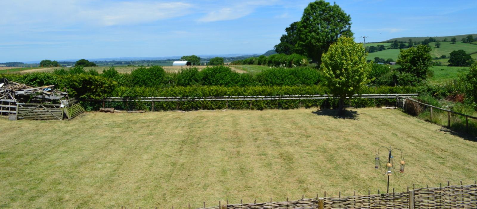 generic image of wagtails