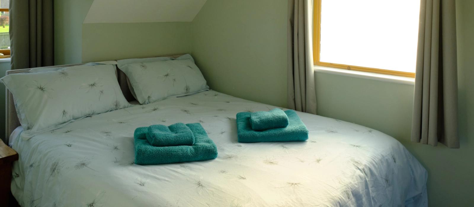 generic image of wagtails