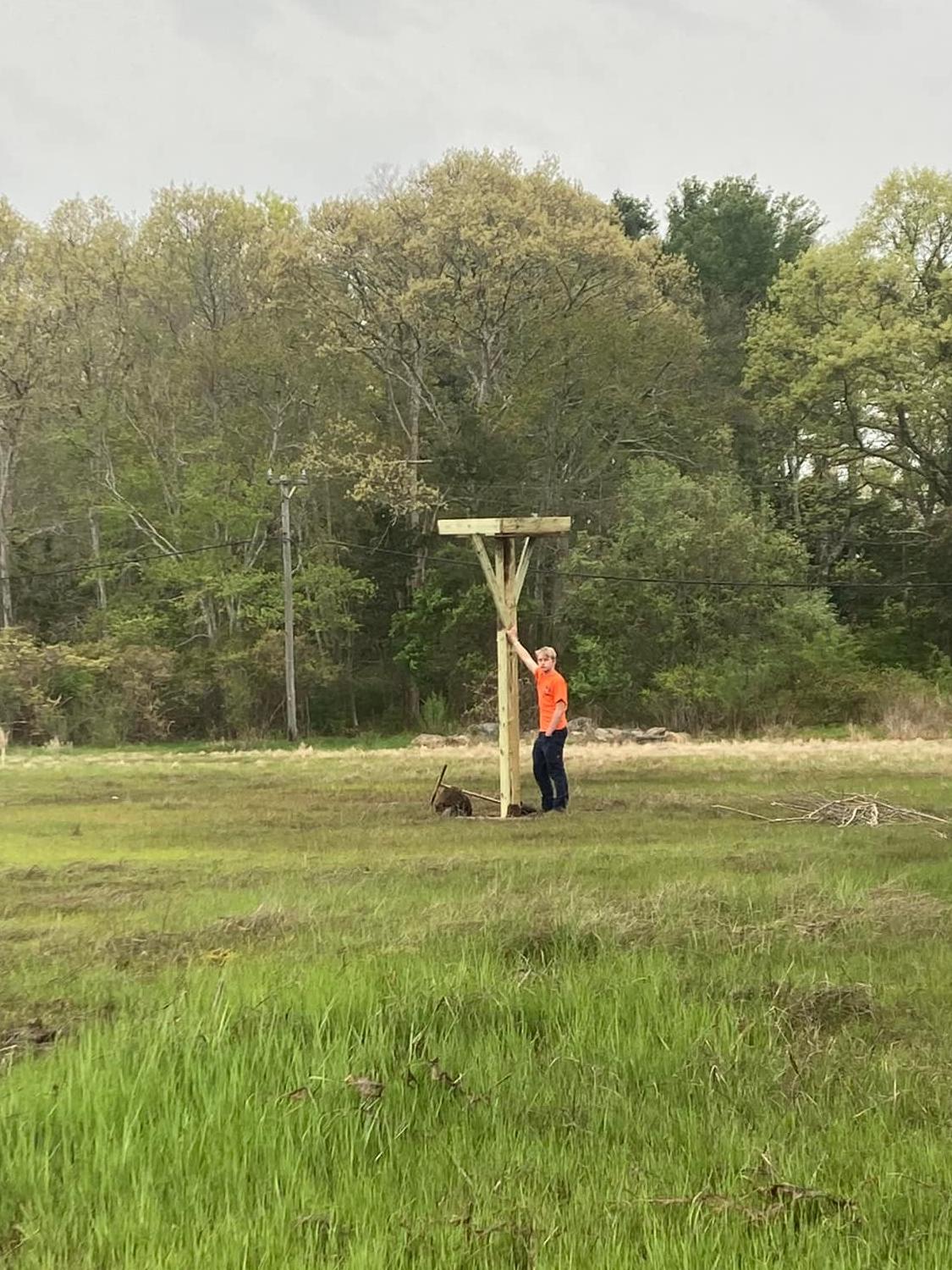 Pilgrim Pest Professionals is an expert bird control company that offers bird control services to residents and businesses in Massachusetts and Cape Cod.